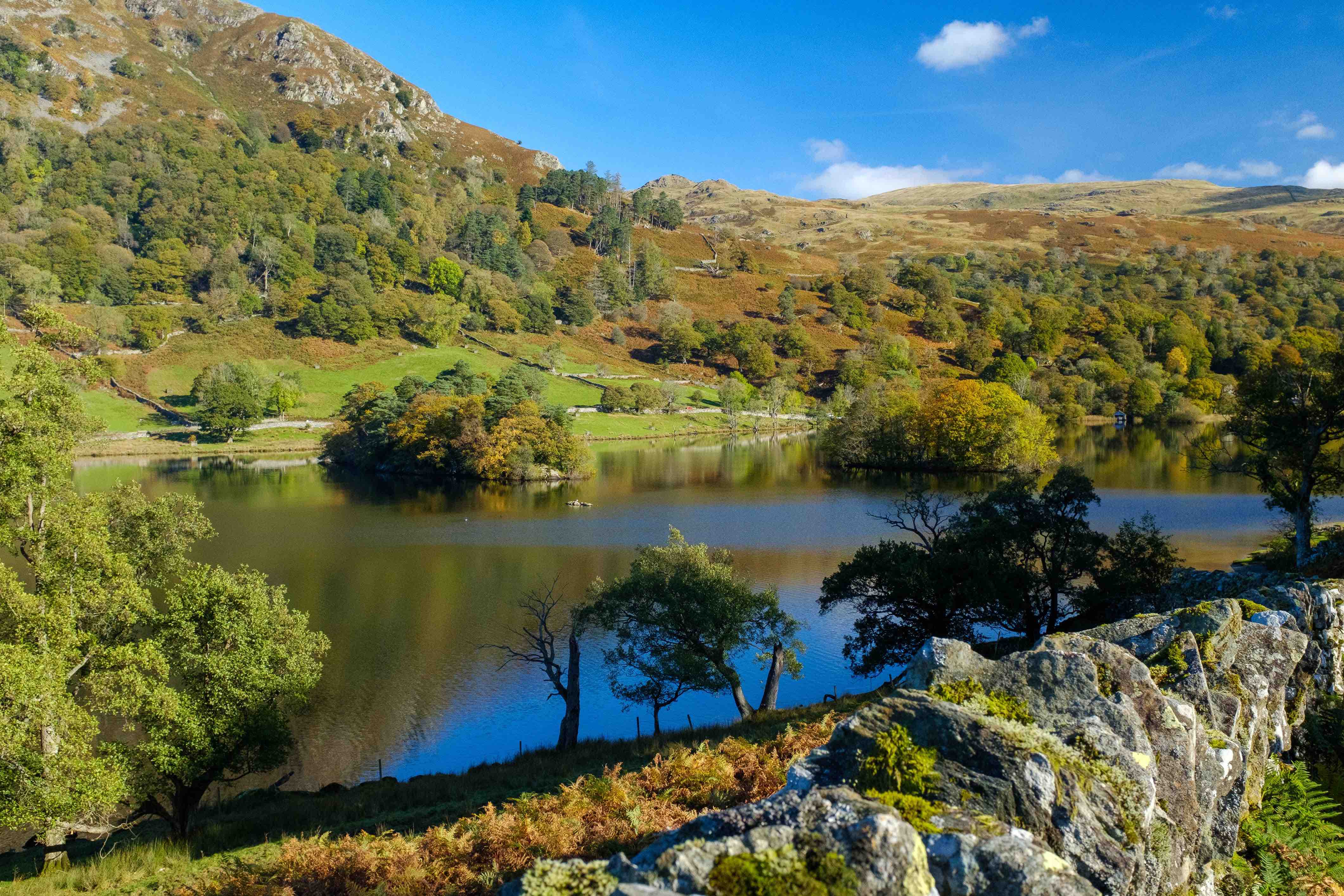 view of a lake in the distance with green grass and trees and a dry stone wall in the foreground